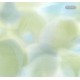 Affreschi & Affreschi | Flo | Fable | KR0402